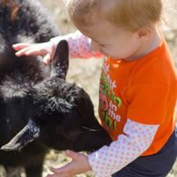 Visit Animals at a Petting Farm
