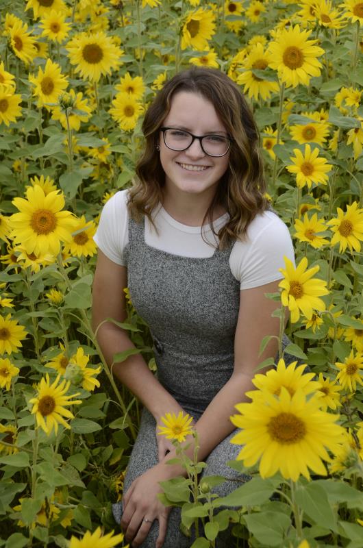 Red Barn Market Sunflower Field