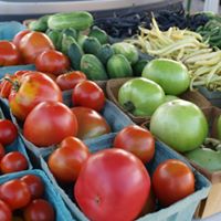 Cheboygan Farmers Market tomatoes