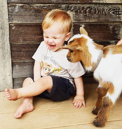 Little boy and baby goat at Deer Tracks Junction in Cedar Springs