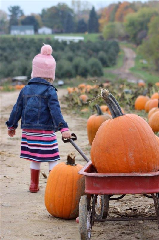 Westview Orchards and Winery