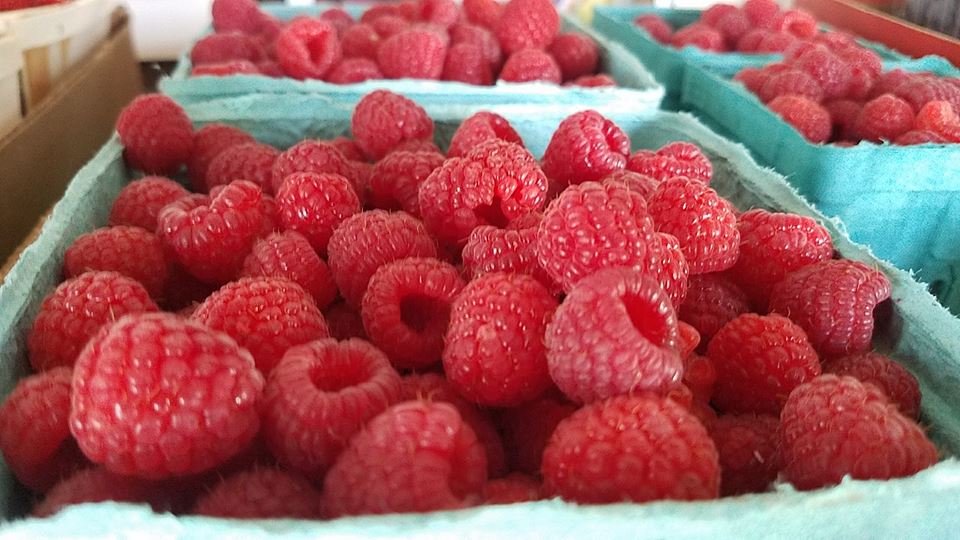 It's UPick Raspberry Season! Michigan Farm Fun