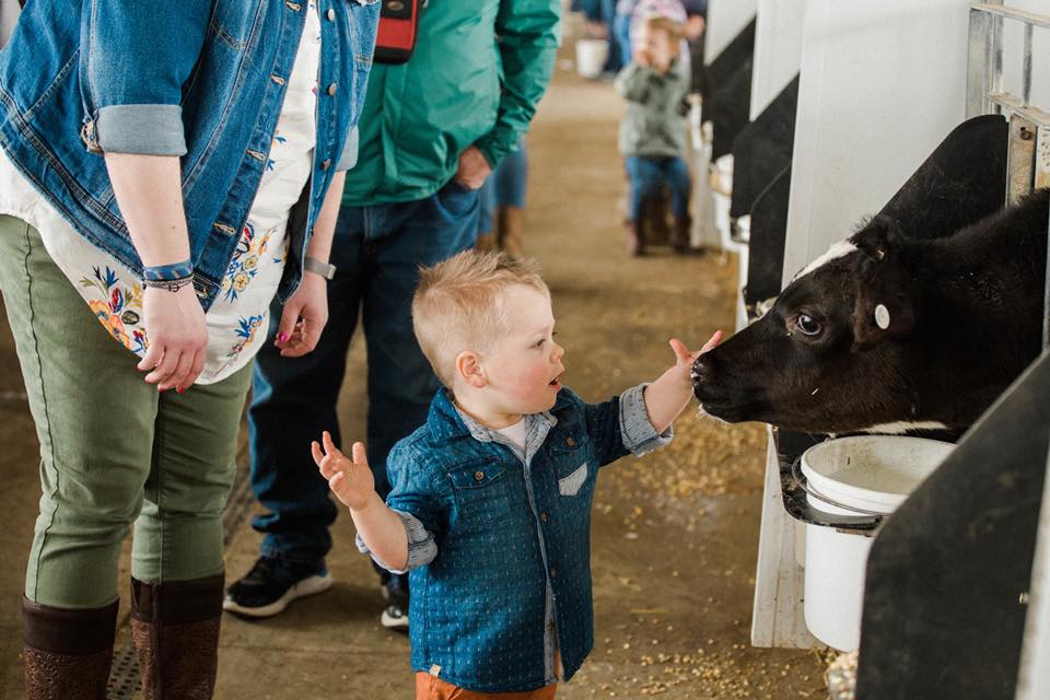 Dairy Discovery Barn Tour