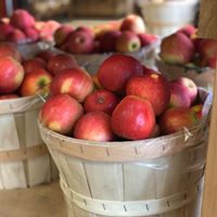 Snappy Apple Farm Market Apples