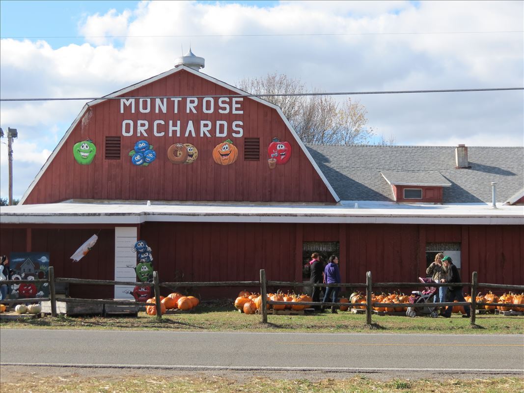Montrose Orchards