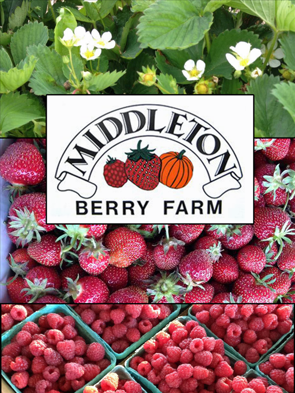 Middleton Berry Farm