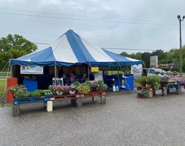 Bardenn's Farm Market II