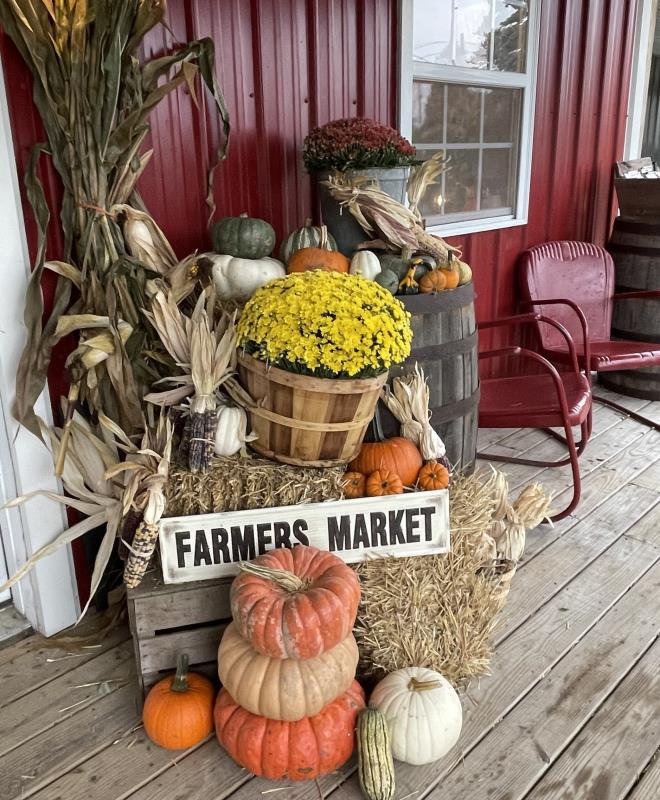 Squash and pumpkins ond mums on  chair at Bennett's Orchard in Ottawa Lake, Michigan