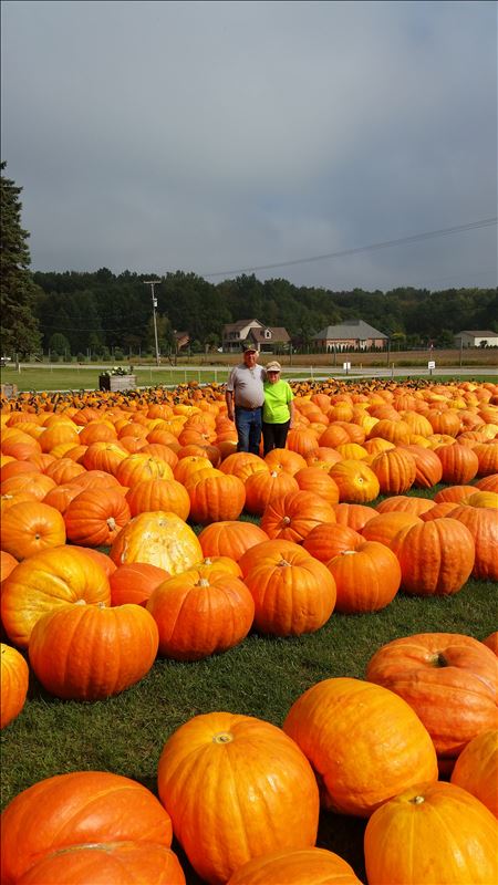 The Monster Pumpkin Patch at Bird's Berry Patch
