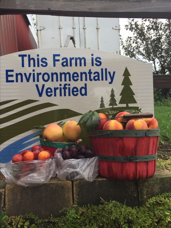 Christofferson Farms stand