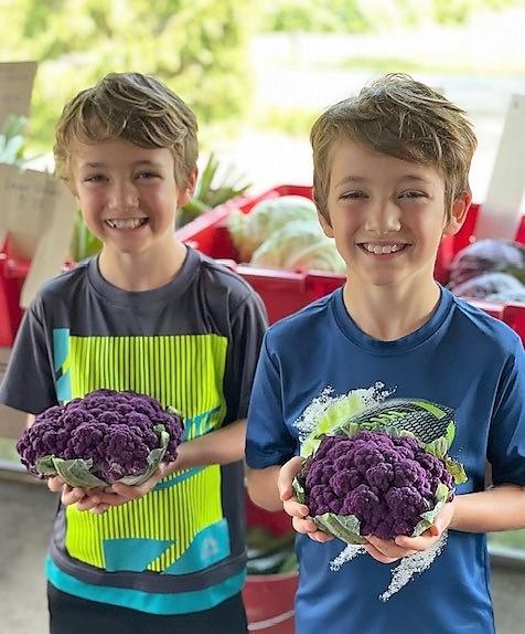 Boys holding cauliflower at Corey Lake Orchards Farm Market