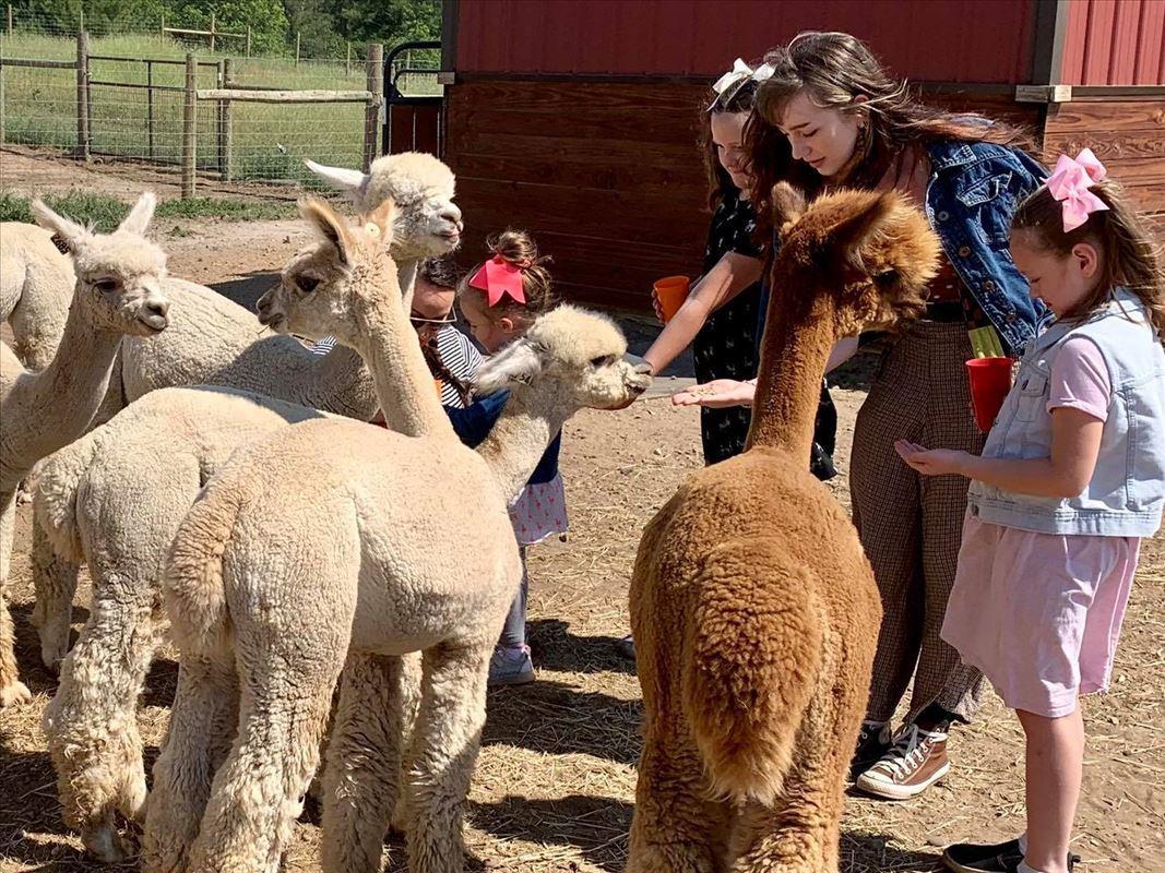 Cotton Creek Farms