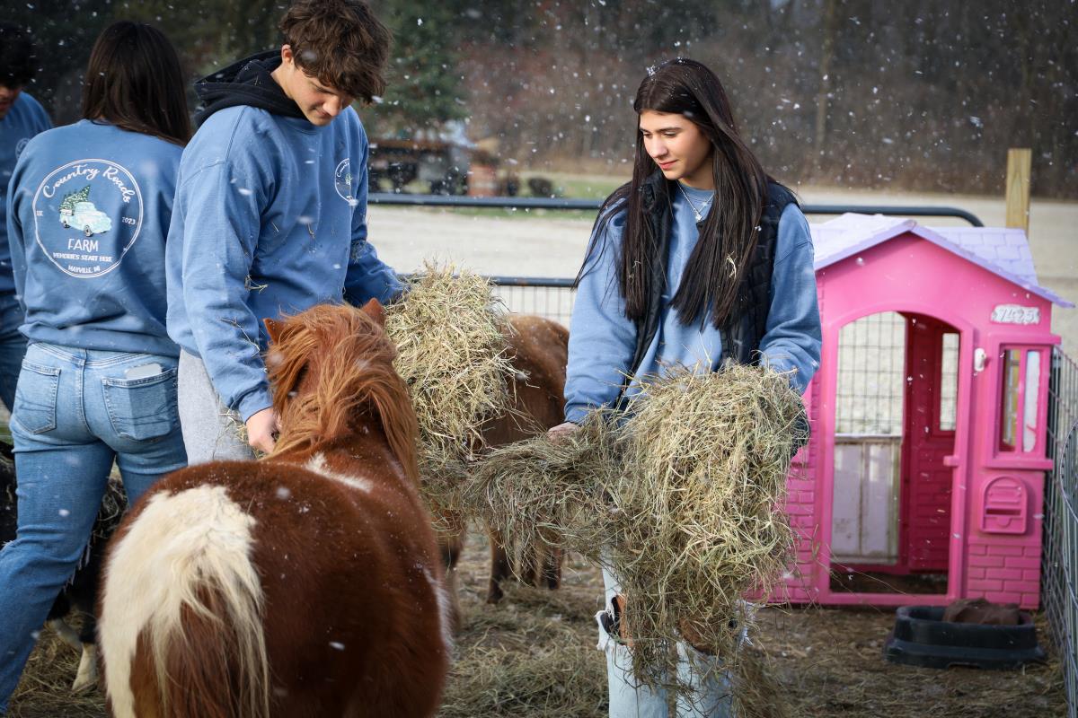 Boy and girl petting a miniature horse at the petting farm at Country Roads Farm in Mayville, Michigan