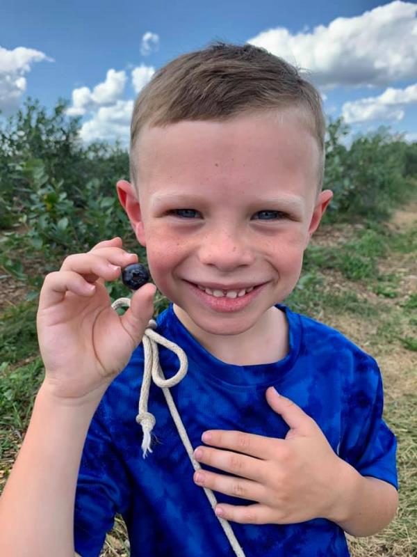 Boy with Blueberry at U-pick blueberry Farm