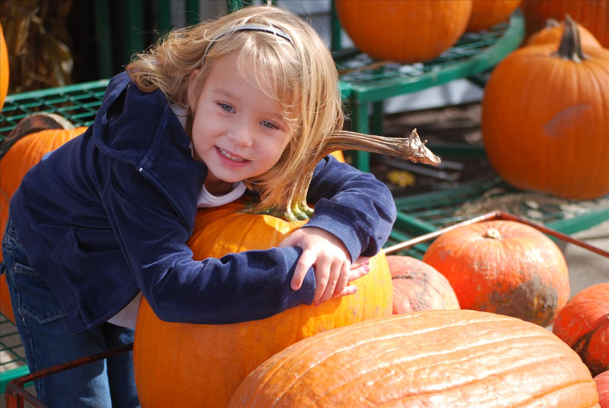 Andy T's Farm Market