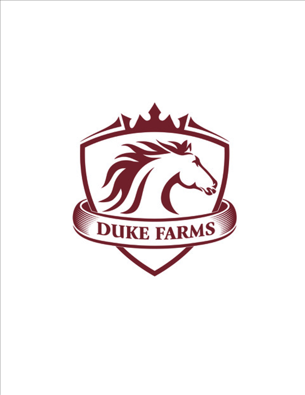 Duke Petting Farm