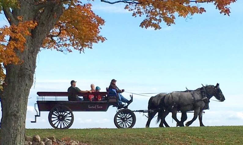 Fantail Farm Horse and Wagon Ride