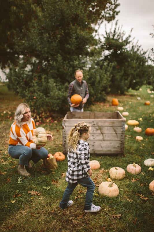 Family with pumpkins at an apple orchard