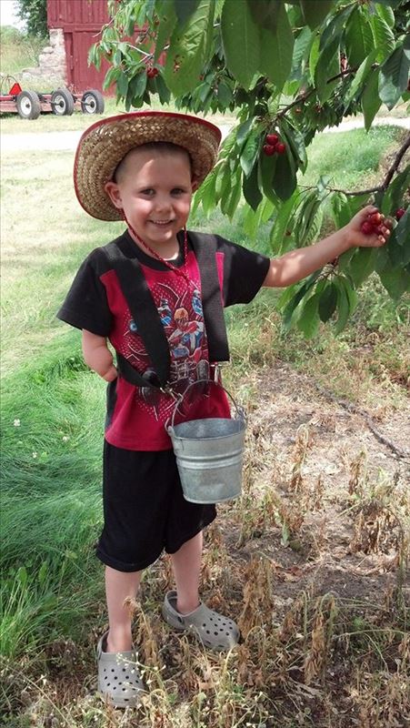 Warren Orchards Grandson u-picking