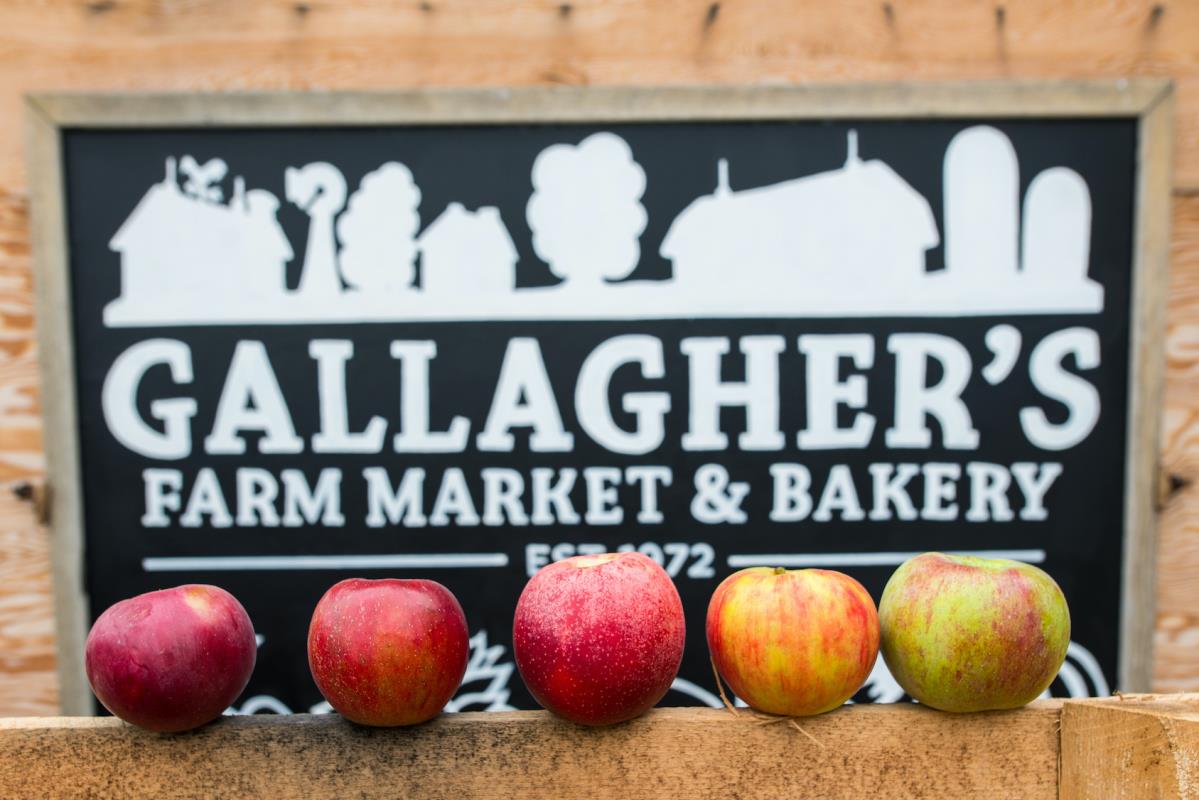 Gallagher's Farm Market  & Bakery Sign