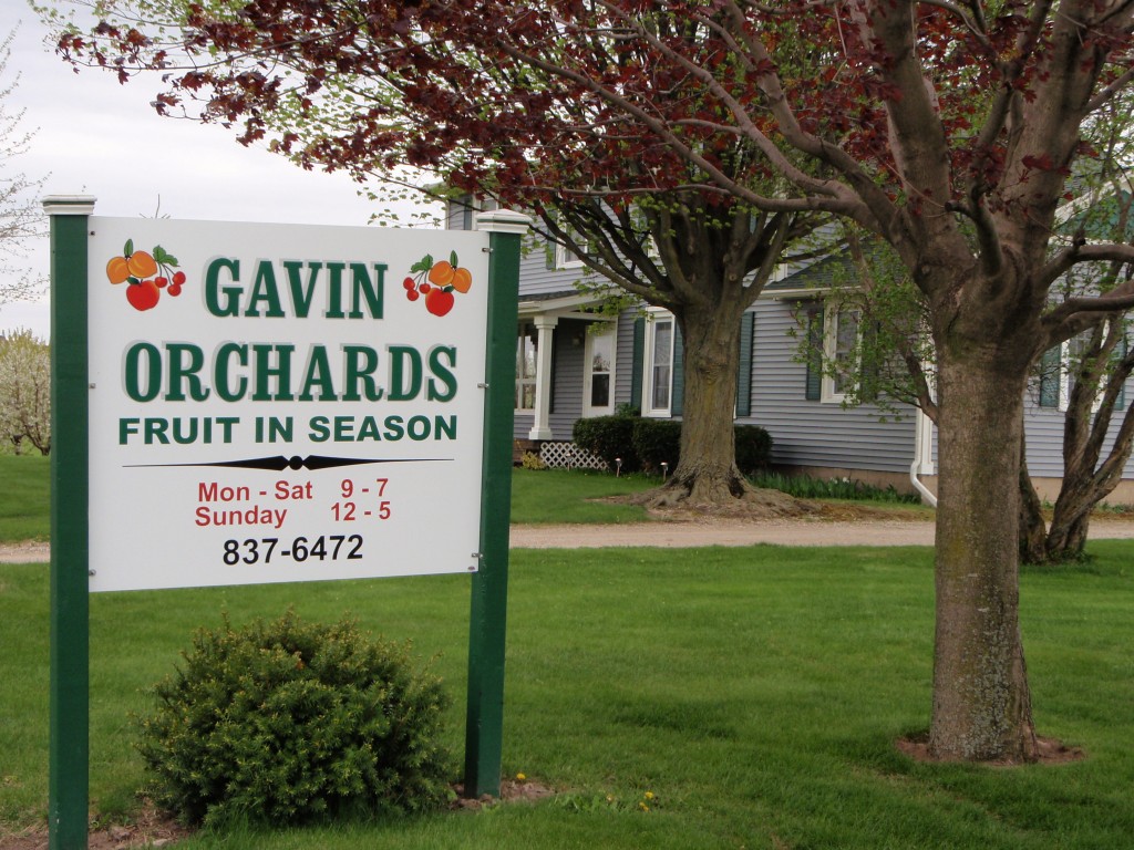 Gavin Orchards 