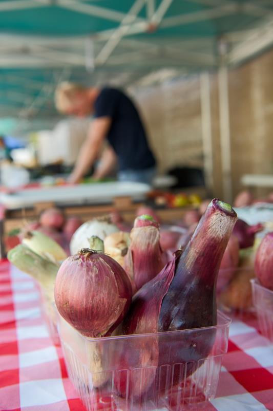 Onions at farmers market table, man in background at Gladstone Farmers Market