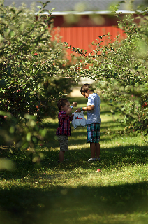 Gull Meadow Farms Kids