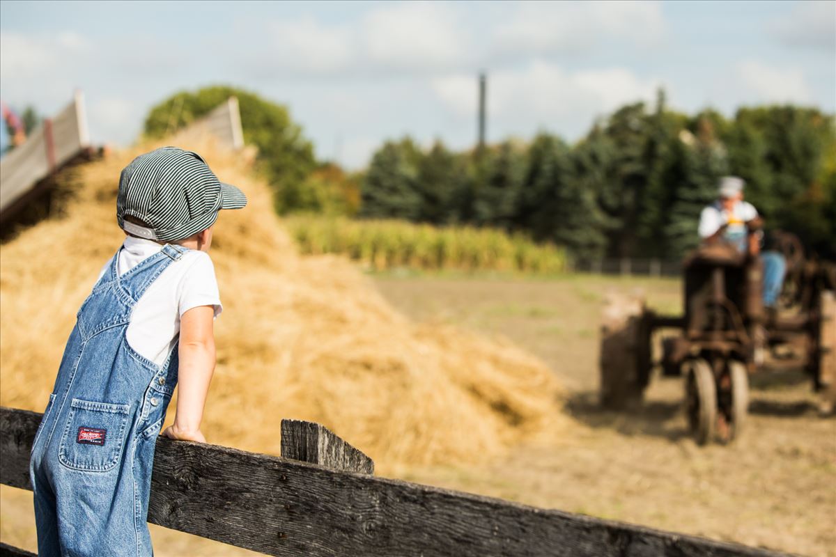 The Henry Ford's Firesonte Farm