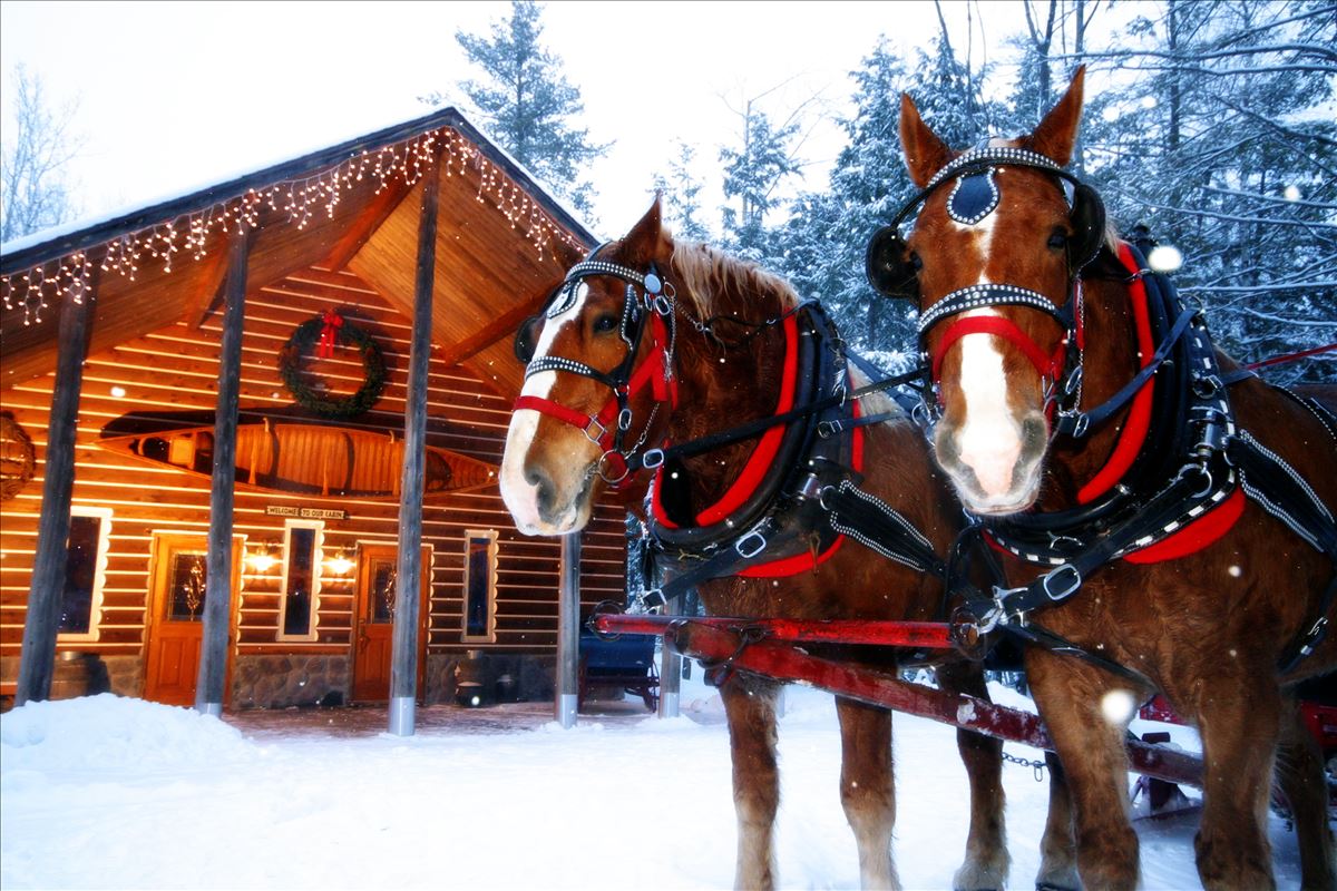 Sleigh Ride at Thunder Bay Resort