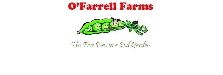 O'Farrell Farms