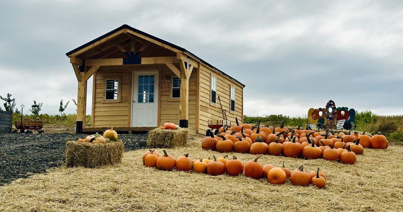 Roadside stand with pumpkins in rows at Johnny Appleseeds Farm in Greenville