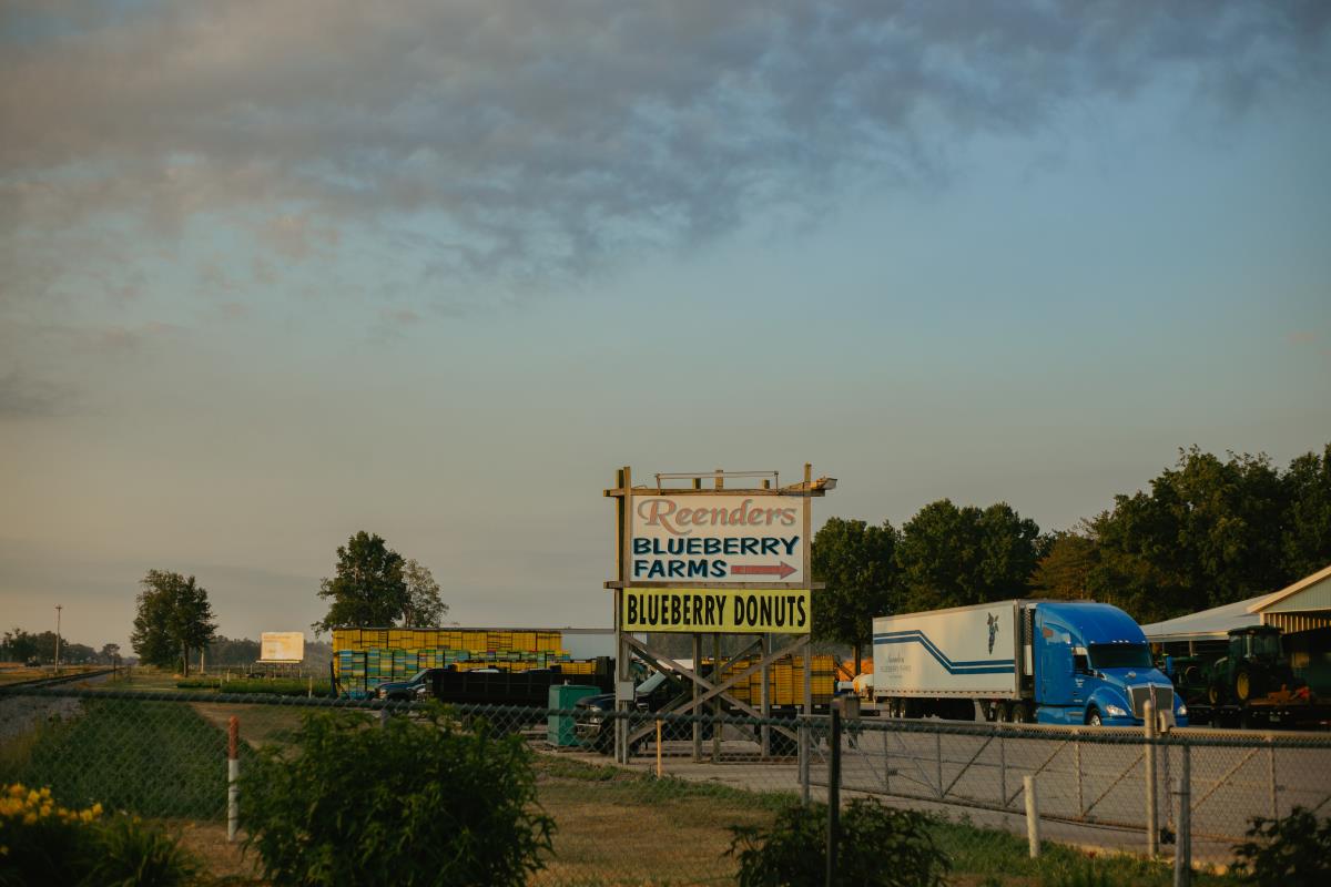Reenders Blueberry Farm
