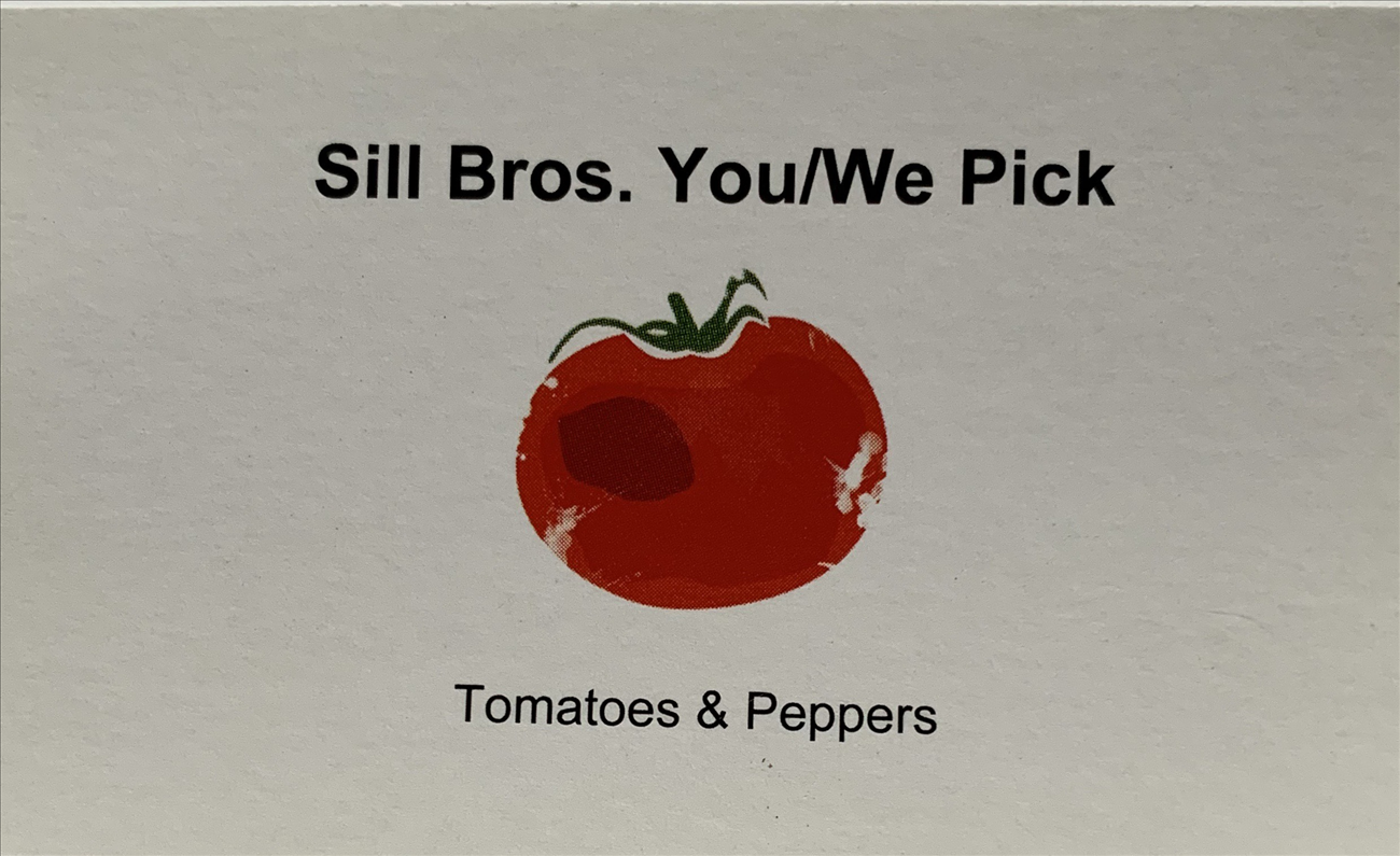 Sill Bros. U-Pick Tomatoes and Peppers