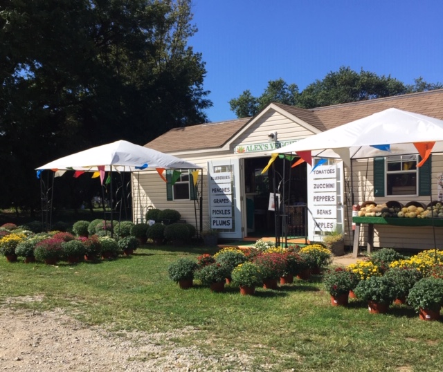 Alex's Veggies specializes in delicious, fresh-picked,  seasonal produce!