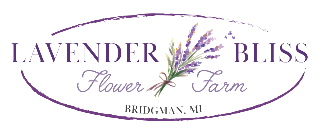 Lavender Bliss Flower Farm