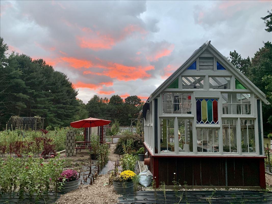Flower garden and shed at Lavender Bliss Flower Farm in Bridgman