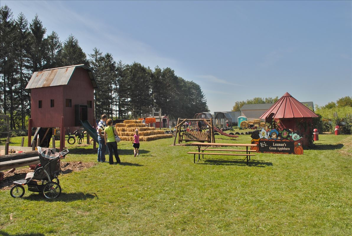 Leaman's Farm activities