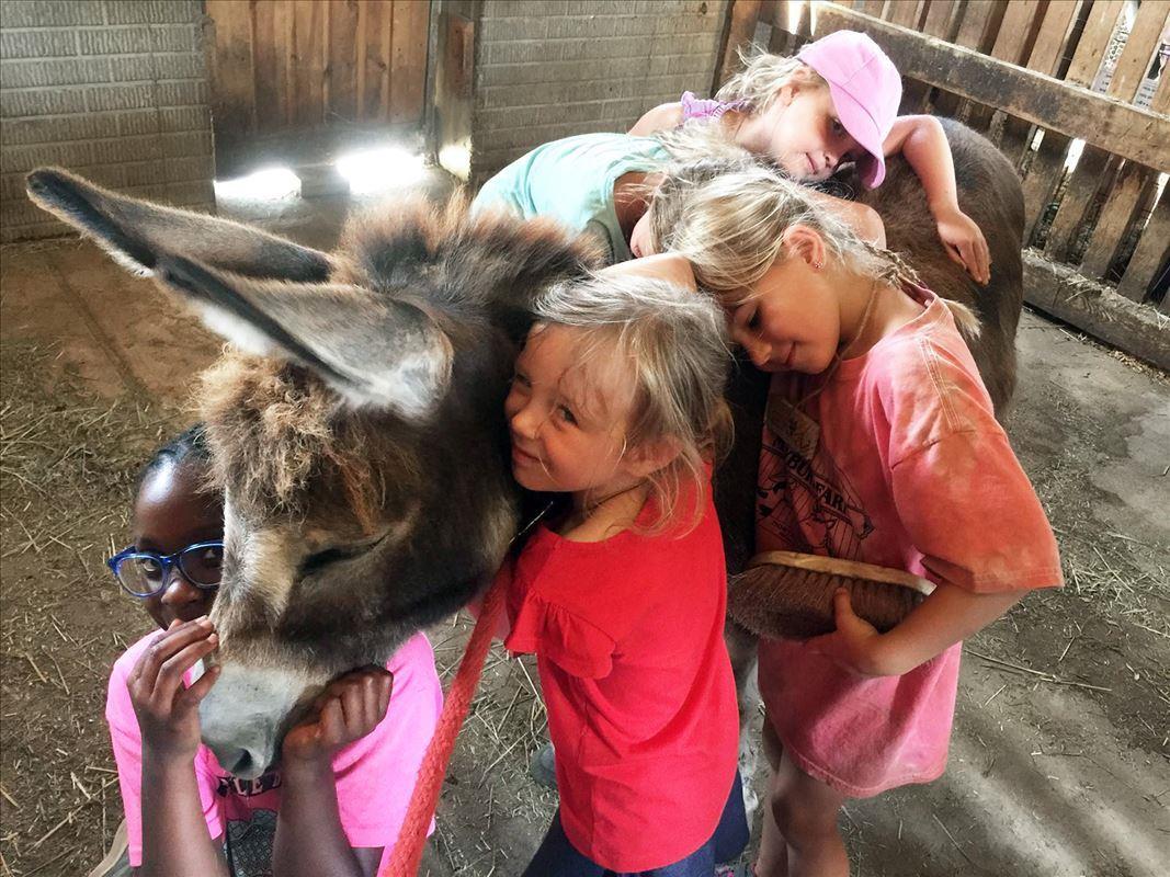 Maybury Farm Donkey and Kids