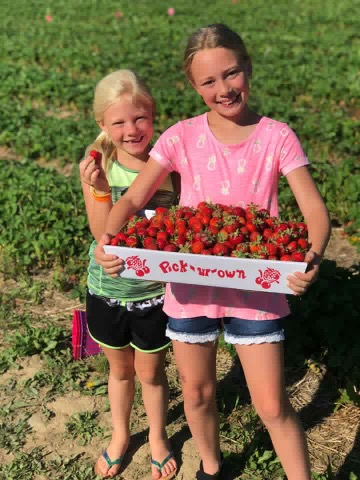 Middleton  Berry Farm