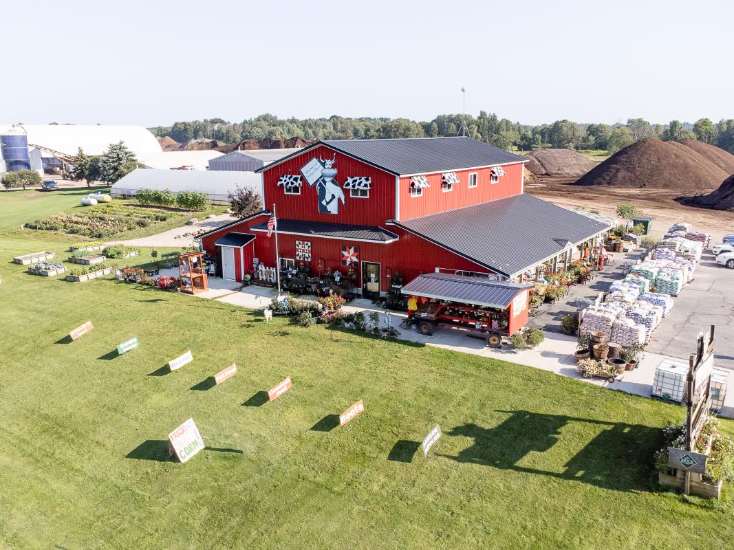 Farm market with green grass