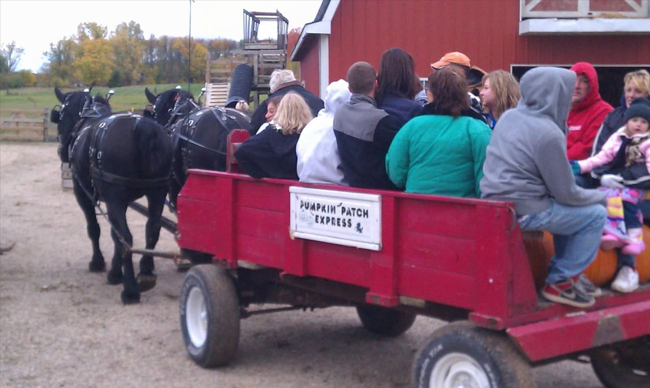 Nelson's Farm Market Wagon Ride