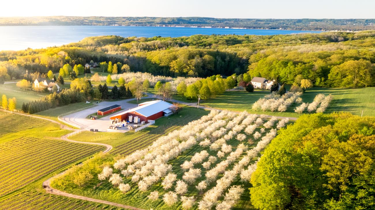 Aerial shot of Black Star Farms with cherry trees in bloom and West Grand Traverse Bay