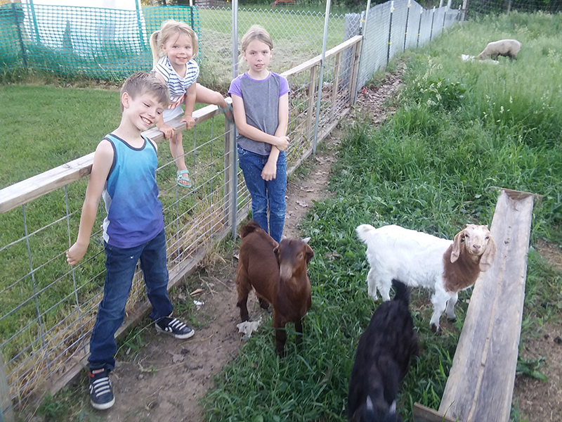 Petting Farm
