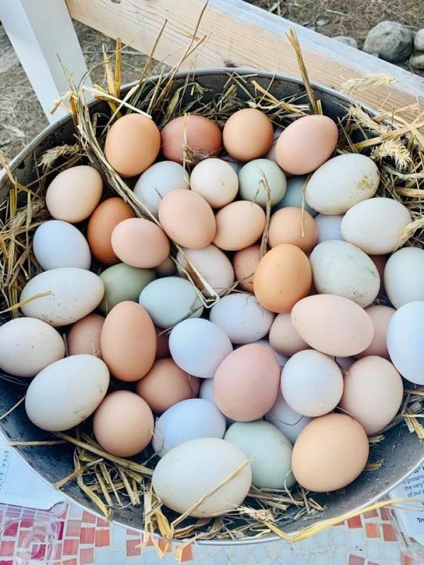 Polish Heritage Farm eggs at farm stand