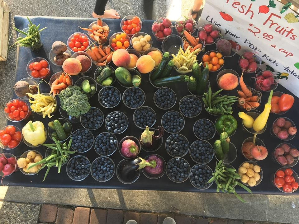 Spring Lake Farm & Garden Market