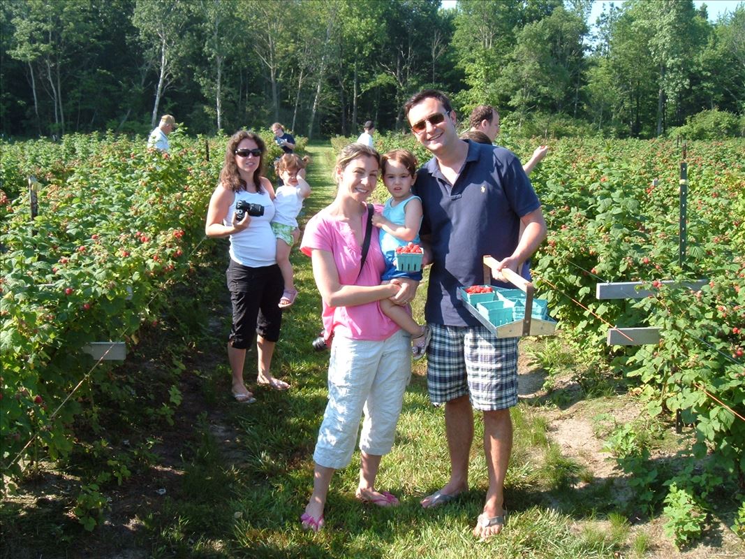 Visitors picking raspberries at Riverbend Farms