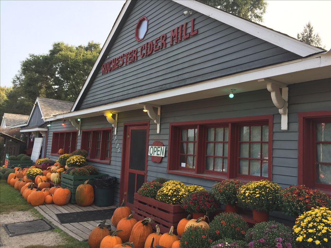 Cider Mill and farm market with pumpkins and mums in Rocheter, Michigan