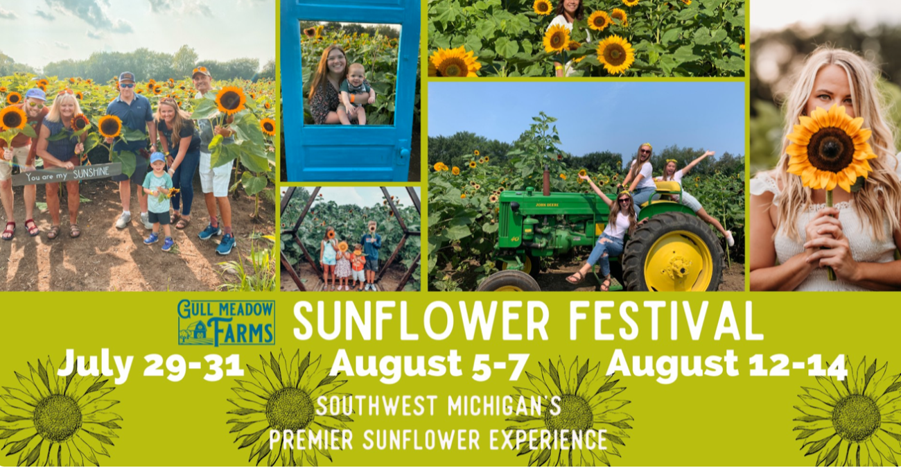 Poster of Gull Meadow Farms Sunflower Festival