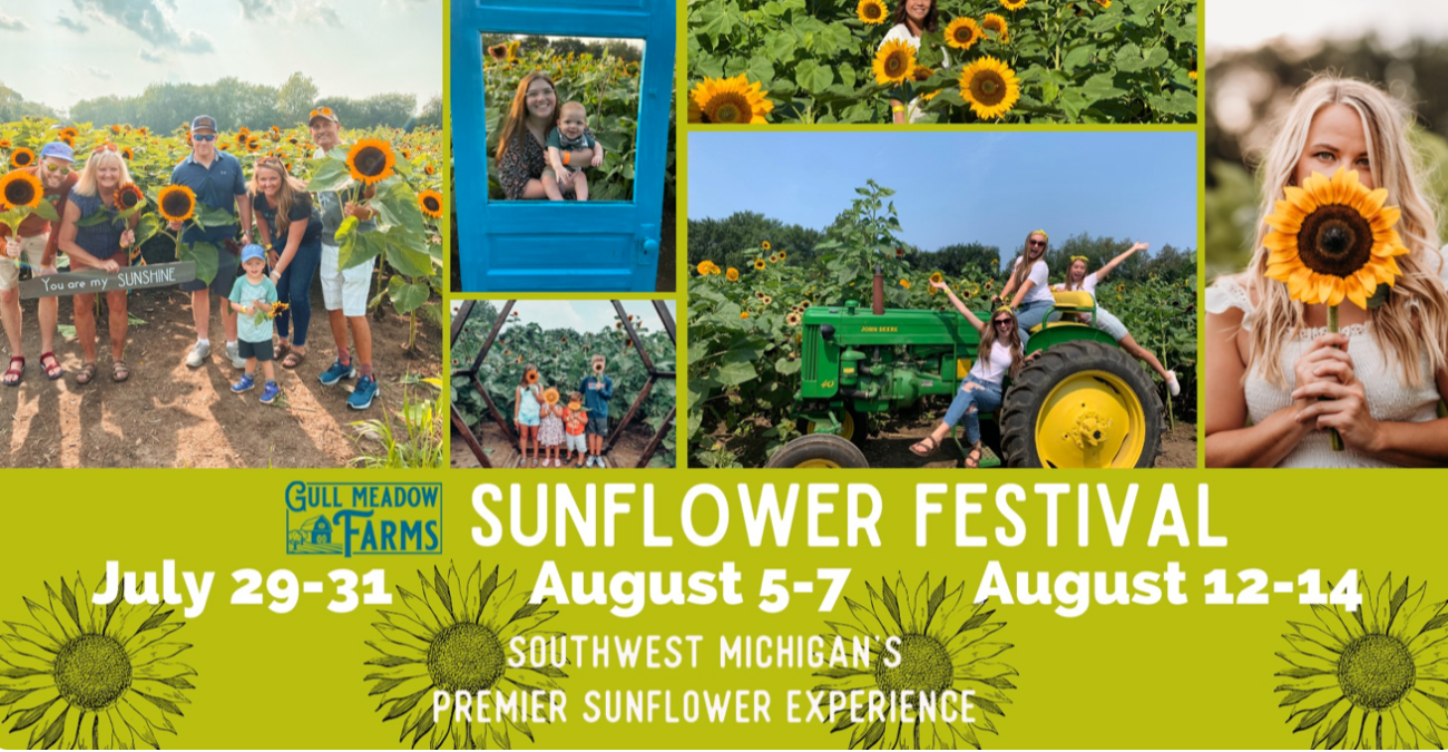 Sunflower Festival at Gull Meadow Farms Michigan Farm Fun