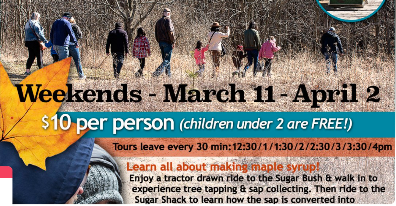 Maple Syrup Days Flyer